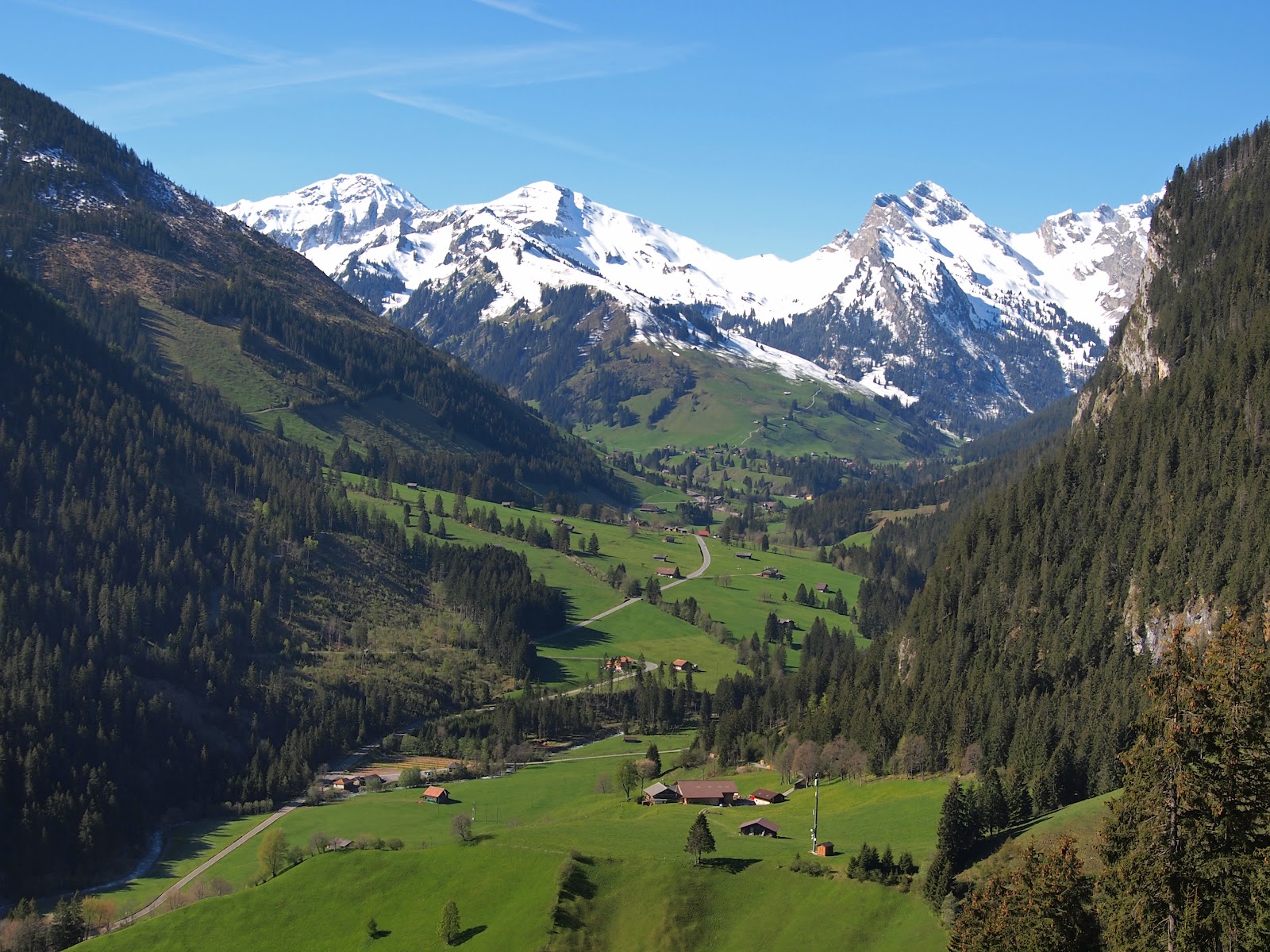 Fotografie Ruth Pulido....aus Liebe zur Natur Diemtigtal