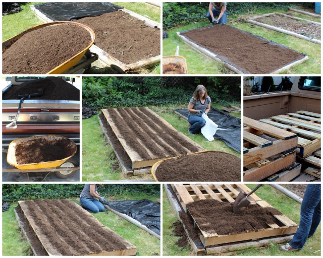Suburban Gardening Pallets Fruit Trees Sprouting Containers