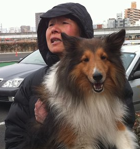 Hyperborean Vibrations: The silent victims of the Caos, Hundreds of