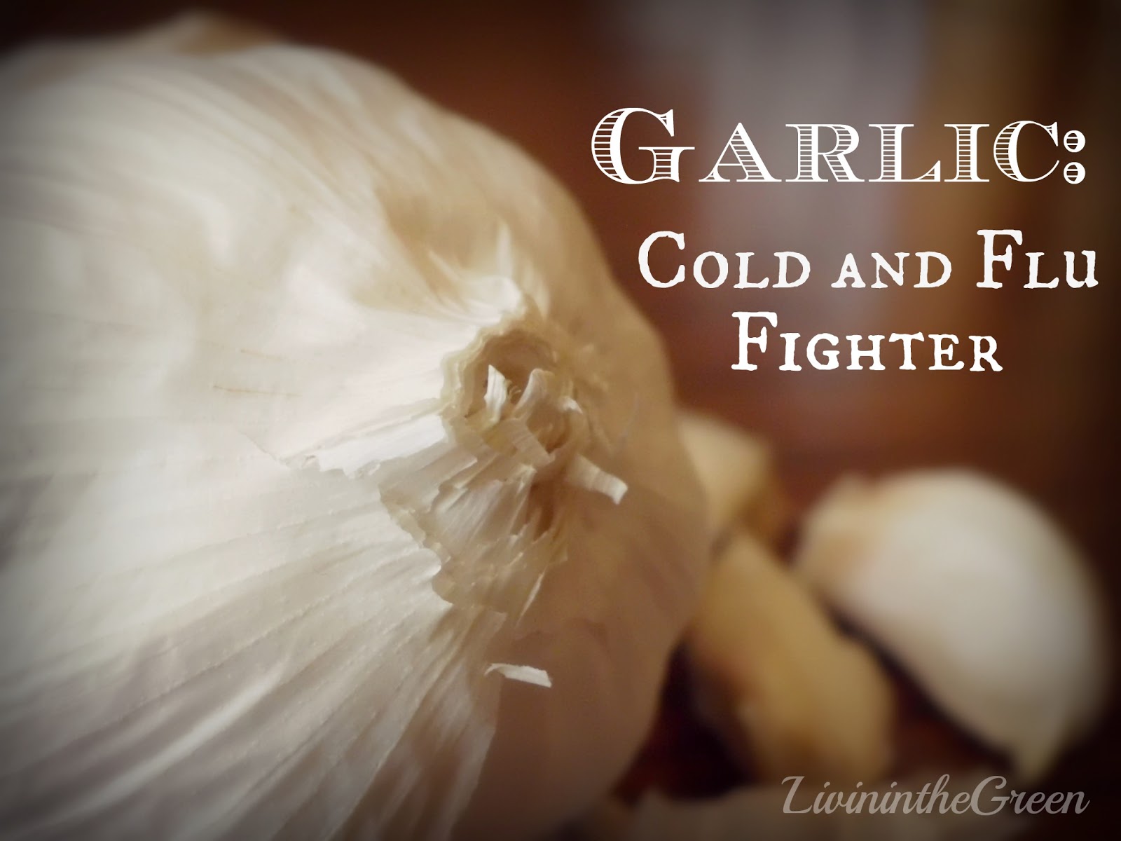 Livin' In The Green Raw Garlic Cold and Flu Fighter