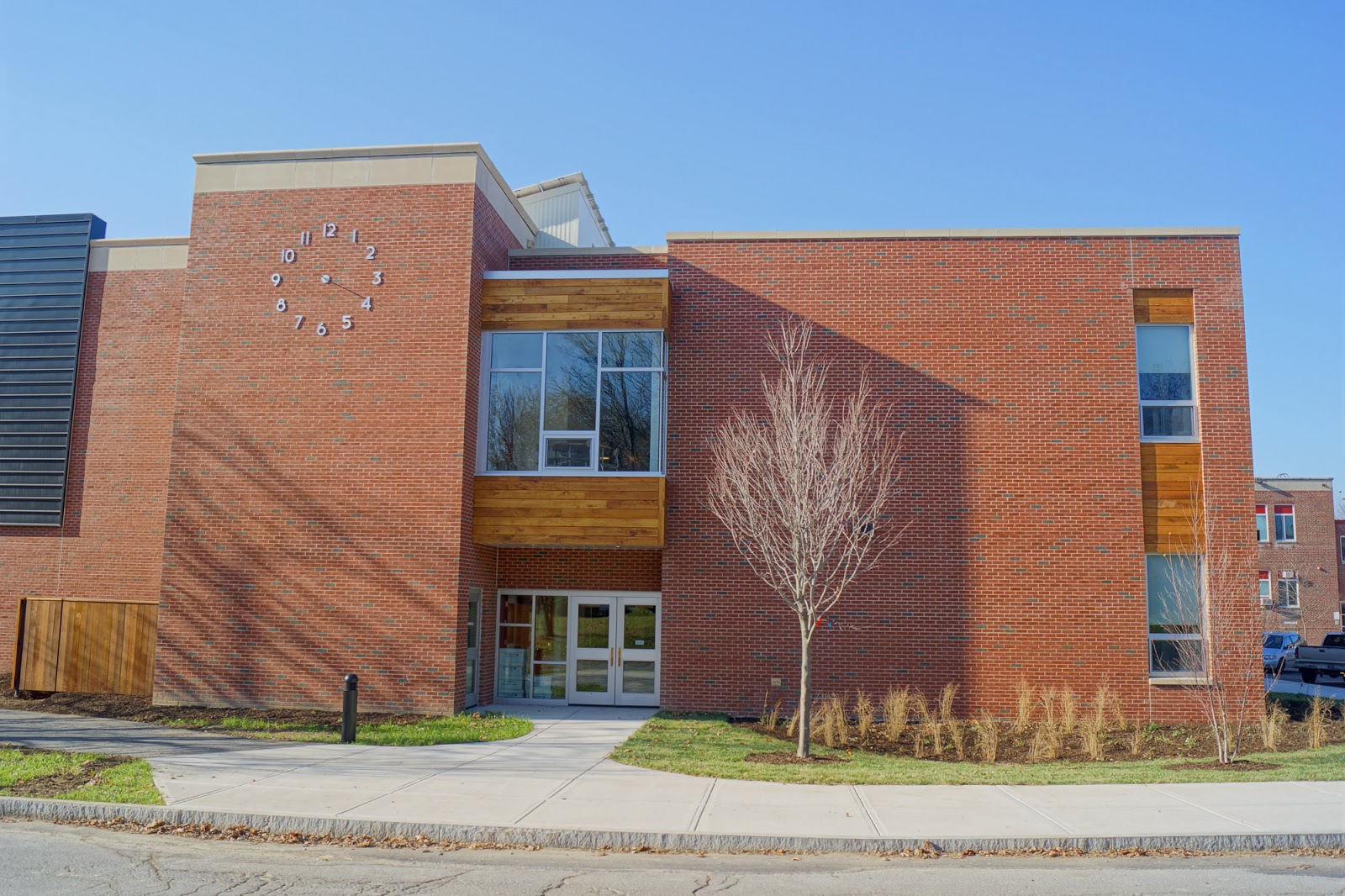 Giving New Life to Trees Black Locust Lumber Custom Siding