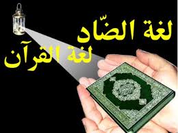 كنز العرب كنز العرب
