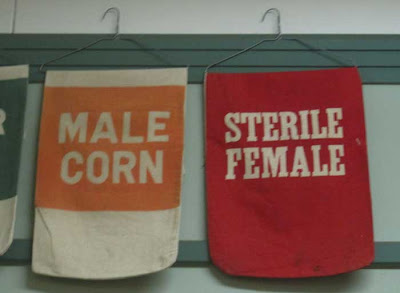 Corn seed bag reading STERILE FEMALE