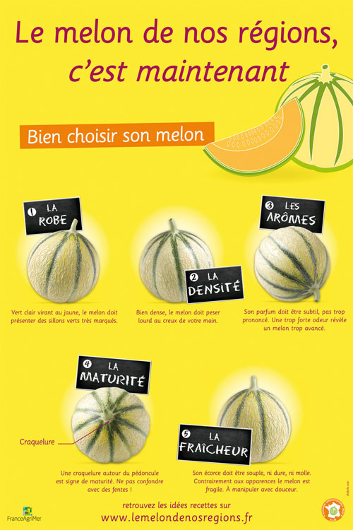Comment bien choisir un bon melon ? les pieds sous la table