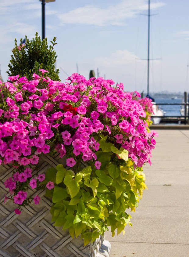 So We Took A Ride To Jamestown Stopping As We Pleased To