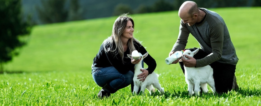 Sữa Dê Công Thức New Zealand