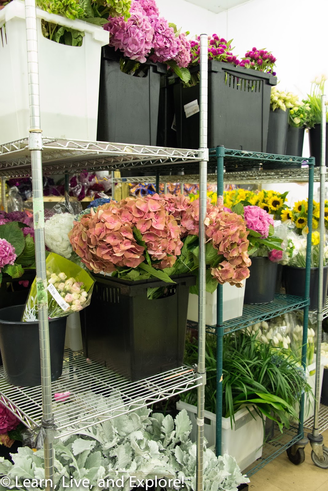 A Day of Flowers From the Wholesaler to a Arrangement