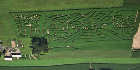 pumpkin patch corn maze ventura county