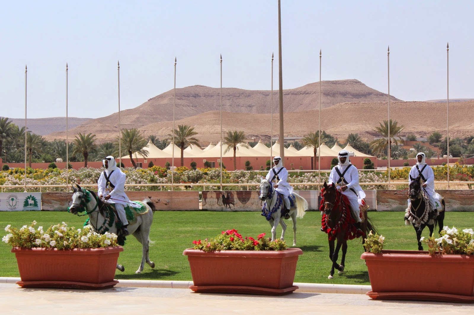 The Odysseia KIng Abdulaziz Arabian Horse Centre