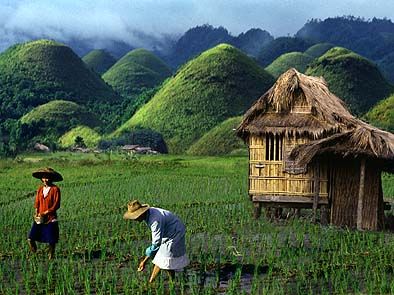 chocolate hills bohol