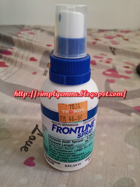 Ubat Kutu Kucing Yang Paling Berkesan Jurupulih K