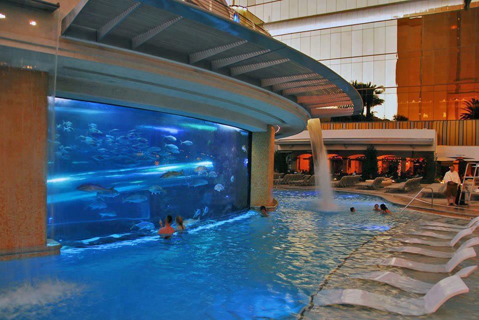the golden nugget pool the golden nugget pool