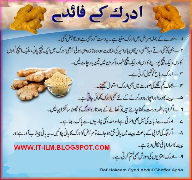 News Entertainment Tips Health Tips Islamic