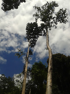 Khao Phra Thaew National Park Phuket Khao Phra Thaew National Park Phuket