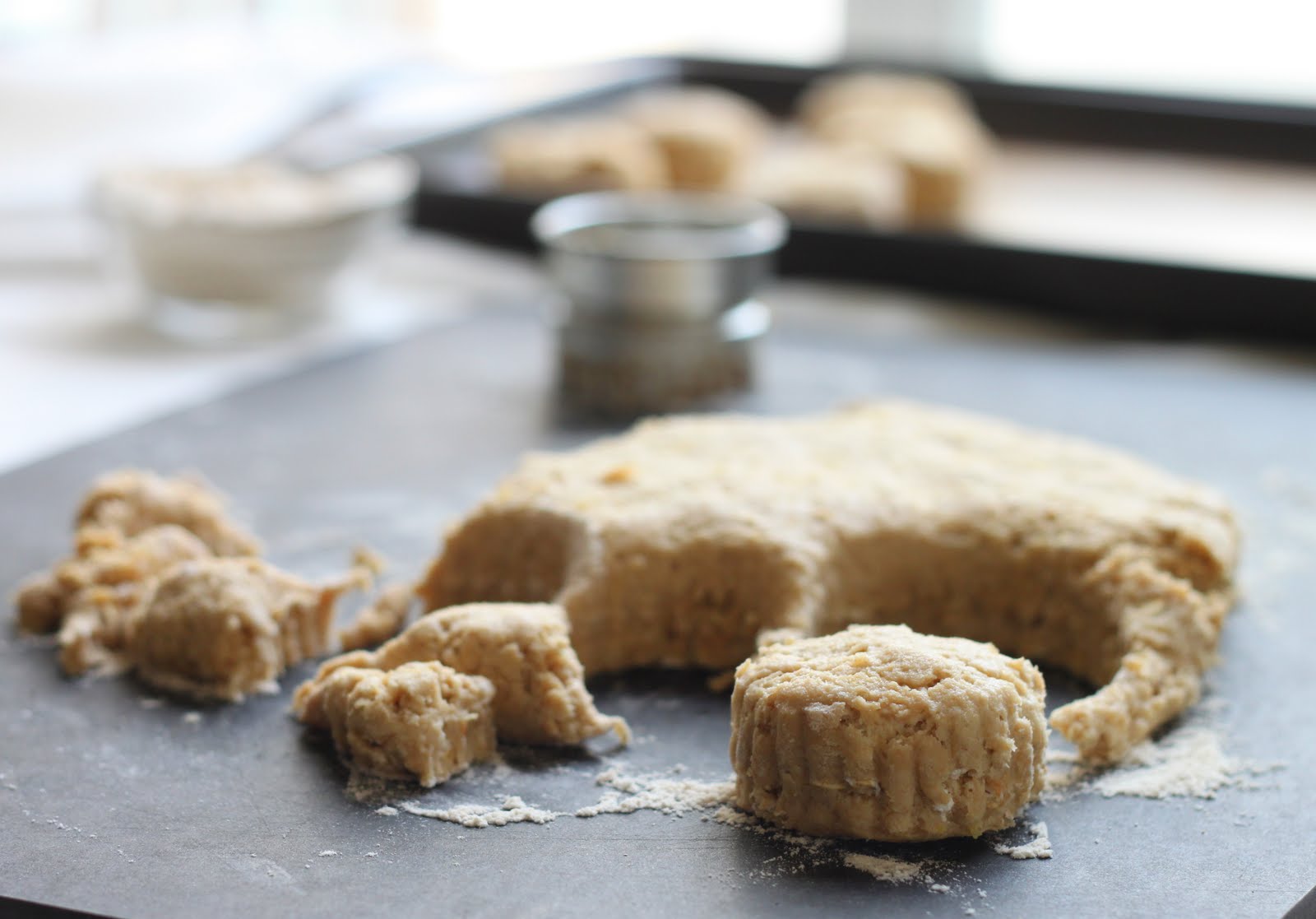 The Cilantropist Simple Oat and Brown Sugar Scones