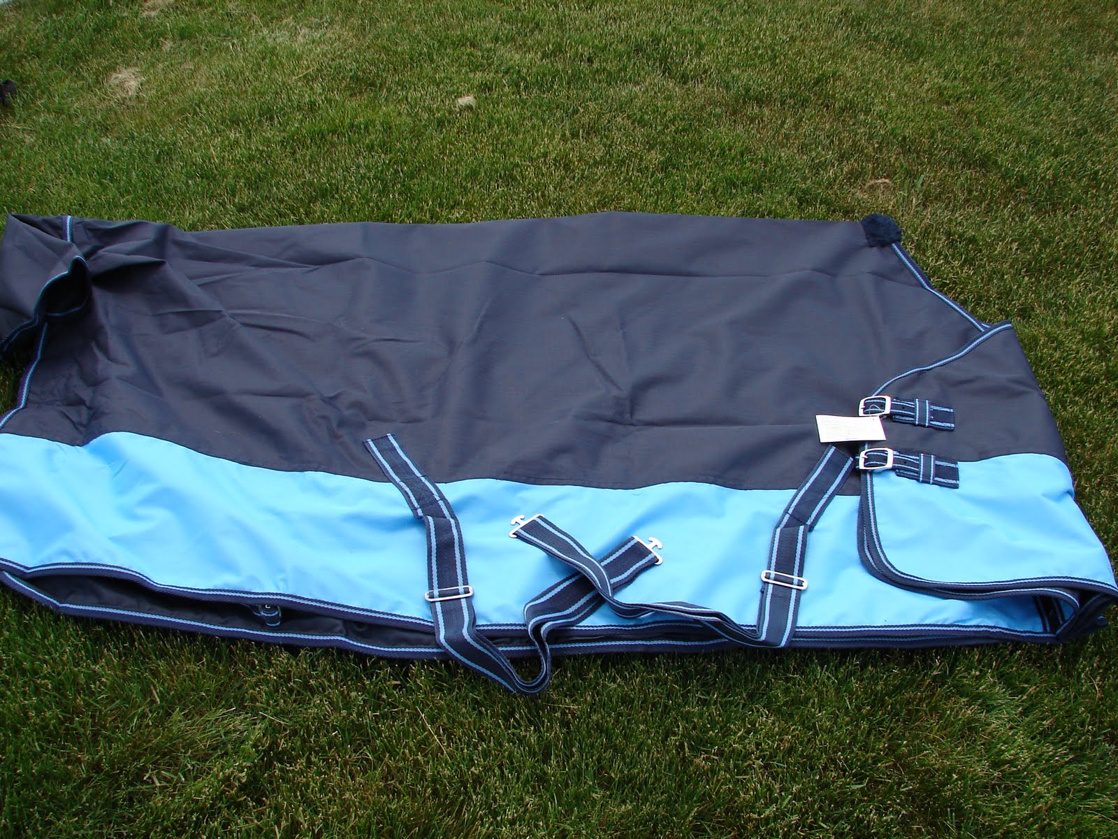 English , Western. Horse. Pony .Mini Saddles and Tack for Sale RAIN