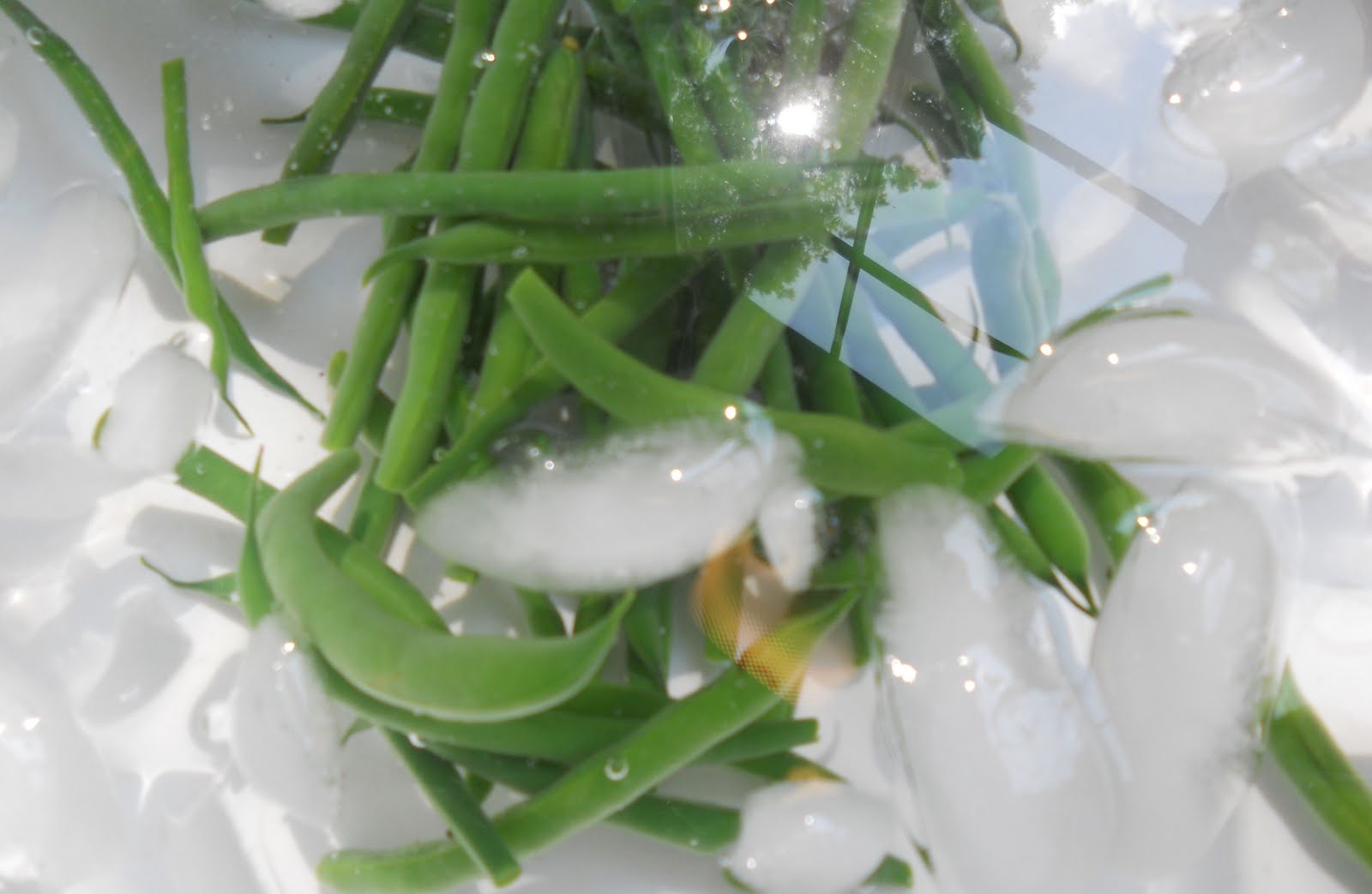 Grilled Marinated Vegetable Platter That Is Sure to Wow JustOneDonna