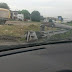 Sorprenden a sujetos destrozando poste de videovigilancia en Madero Tamaulipas