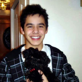 David Archuleta