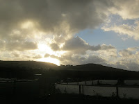 St Ives Cornwall - Allotment