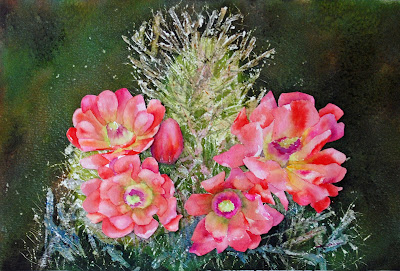 http://2.bp.blogspot.com/-59w7x6YWQvs/TxlNeqf1GPI/AAAAAAAACyU/_9RP4_BC44U/s1600/Cactus+flowers.jpg
