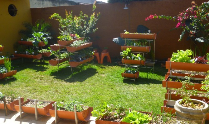 horta e jardim em pneus:Mini Hortas: Um modelo de horta em casa horta e jardim em pneus:Mini Hortas: Um modelo de horta em casa