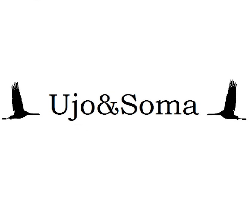 Ujo&Soma
