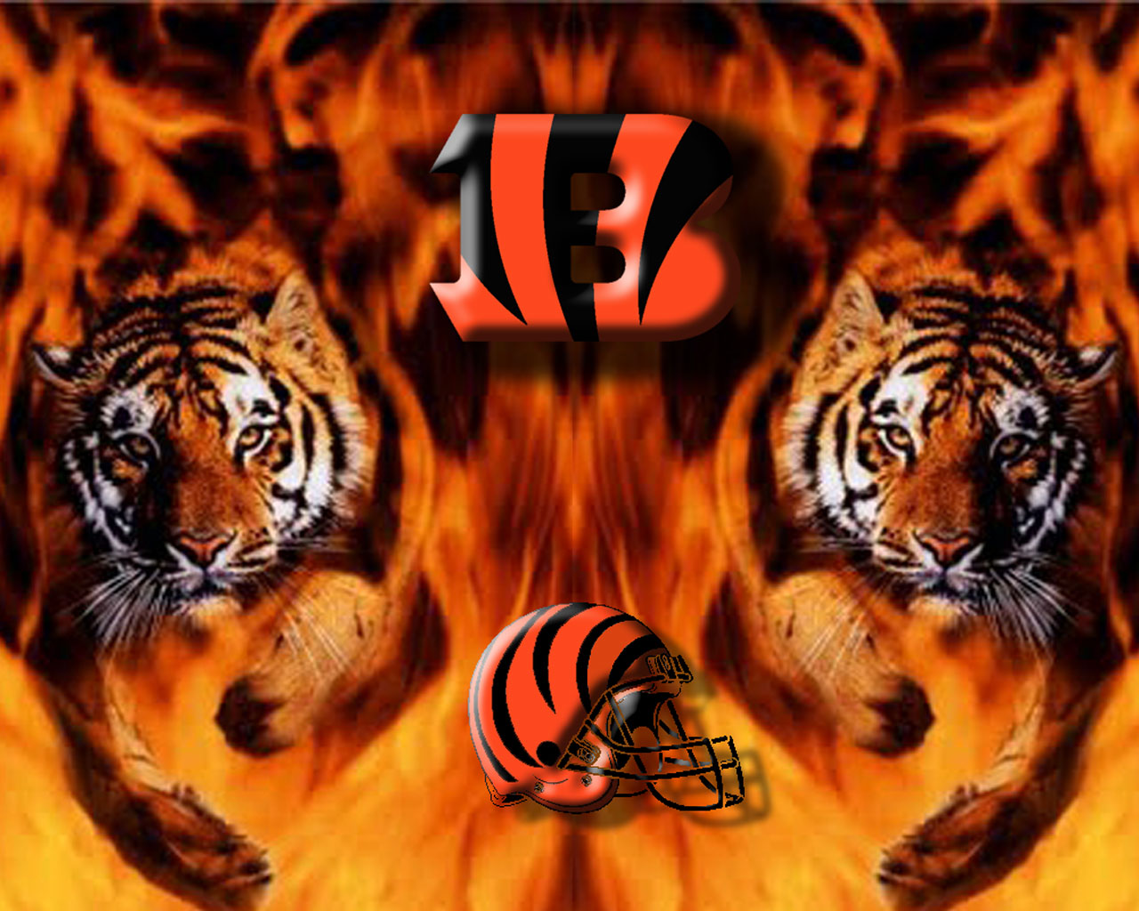 Bengals Pics