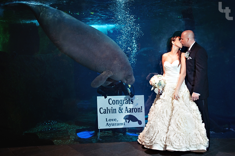 Dallas aquarium coupons