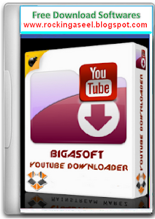 Bigasoft YouTube Downloader Pro 1.2 Free Download