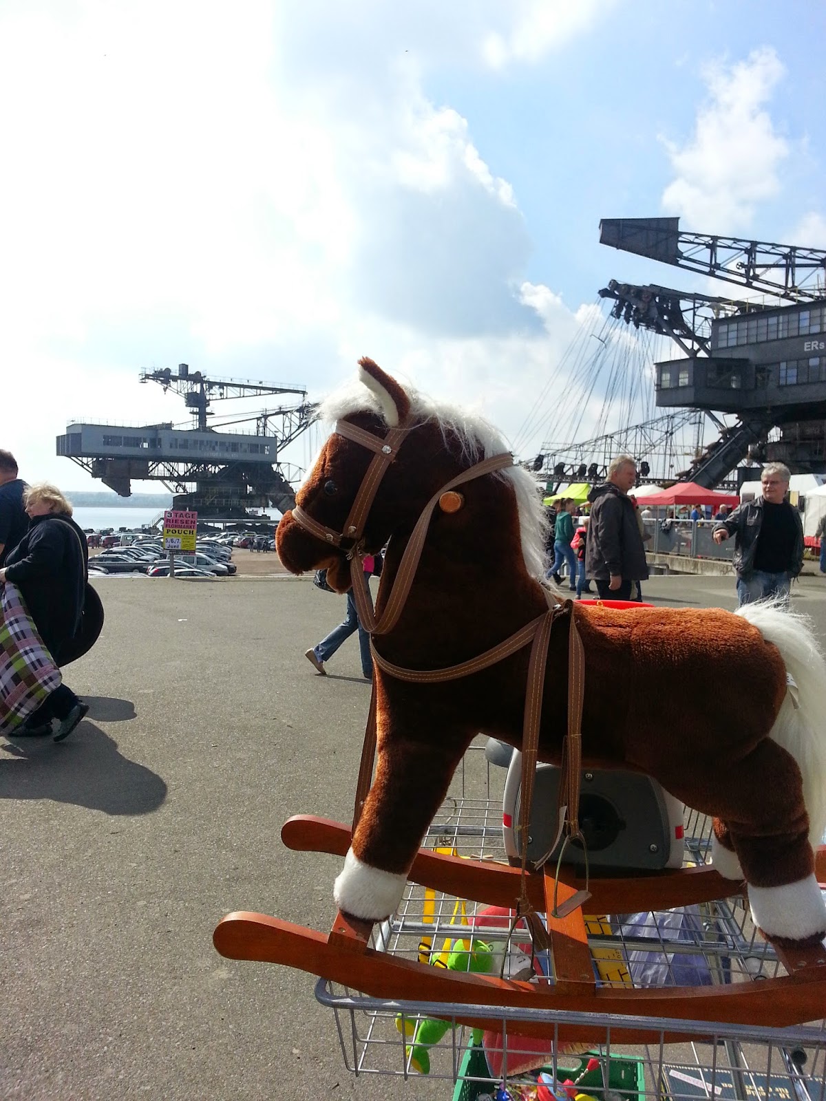 Malteser In Deutschland