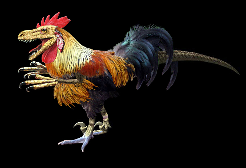 Dinoblog DinoChicken or Frankensaurus (Potato HeadASaurus?)