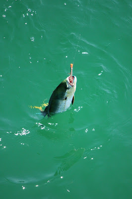 Love To Live In Pensacola Florida Family Fun In