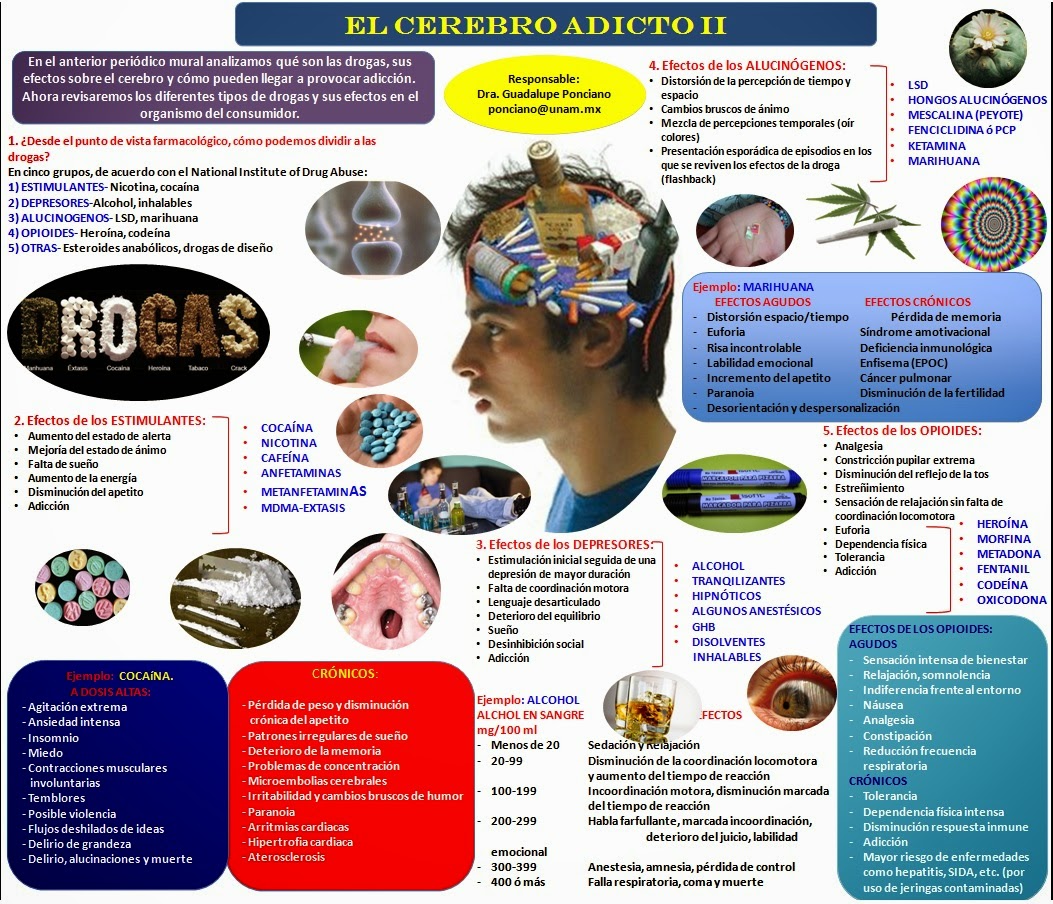 INTERNATIONAL: EFECTOS NEGATIVOS DE LAS DROGAS MANUAL Y VIDEOS INTERNATIONAL: EFECTOS NEGATIVOS DE LAS DROGAS MANUAL Y VIDEOS