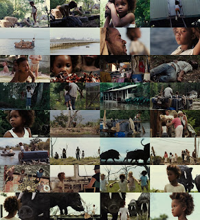 Звери дикого Юга / Beasts of the Southern Wild.