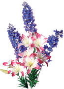 FLORES PNG, RENDERS DE FLORES,