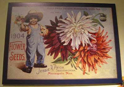 Litho of colorful asters