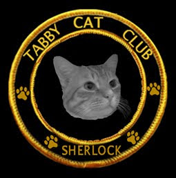 Tabby Cat Club