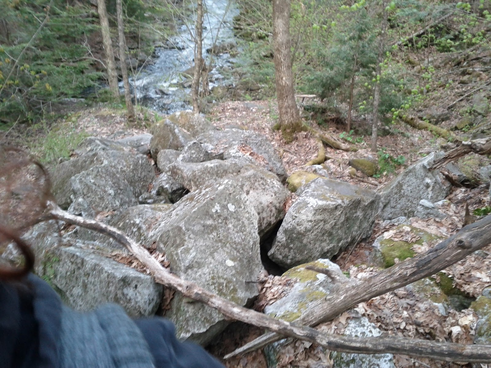 Adventures in Hobbit Land!