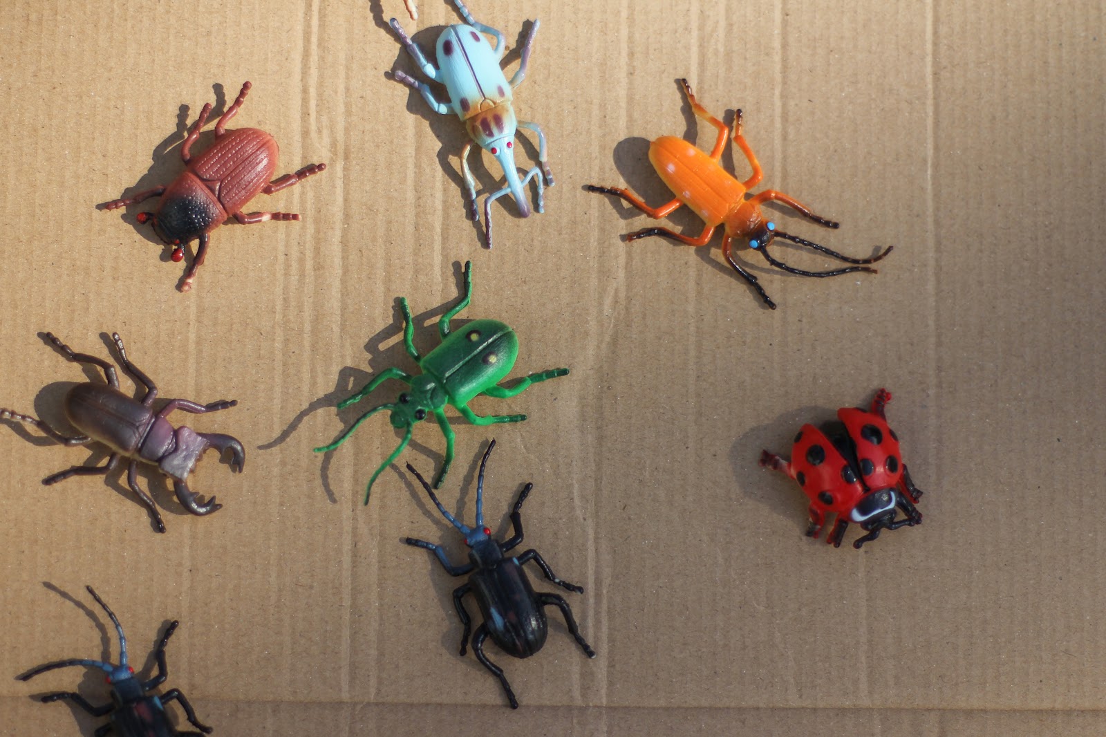 a bit of sunshine make something monday beetle