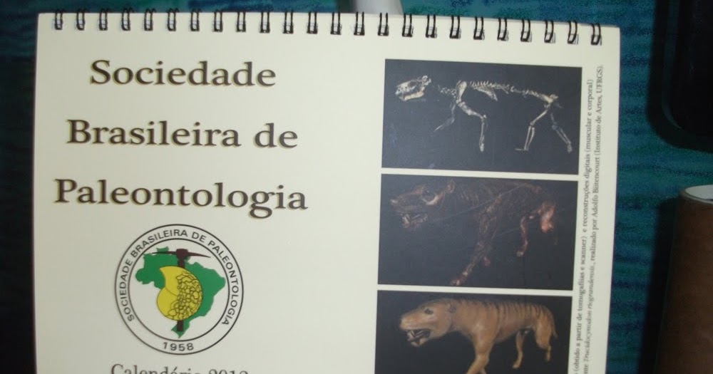 Calend&aacute;rio da SBP | Ikessauro