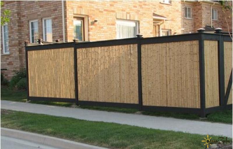 Bamboo Grove Photo Bamboo Fence Panels