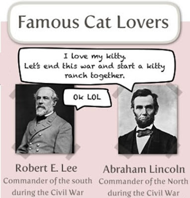Interesting Trivia About Cats