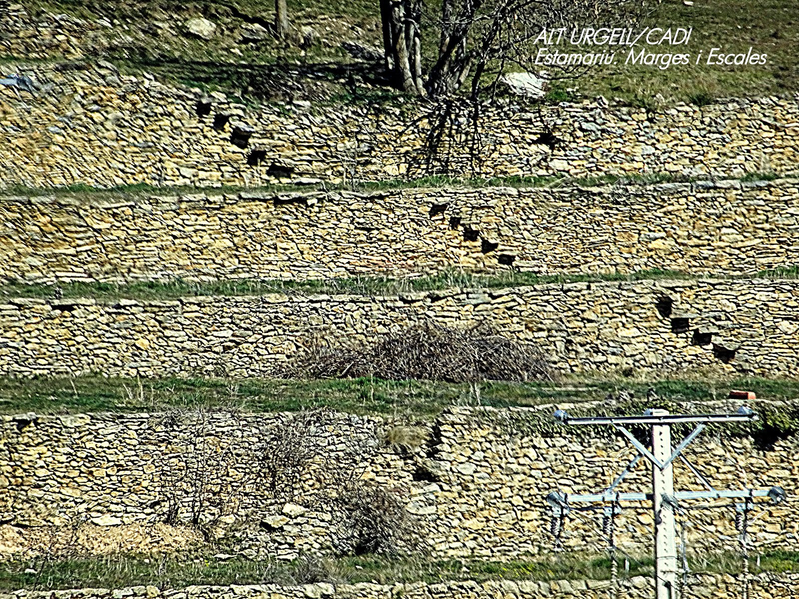 UNA BONA MOSTRA DE L''ART DE LA PEDRA SECA