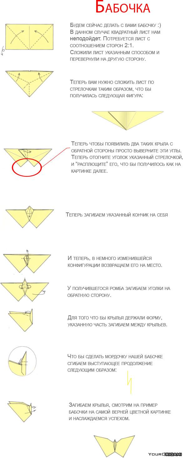 Бабочка из денег оригами схема Бабочка из денег оригами схема