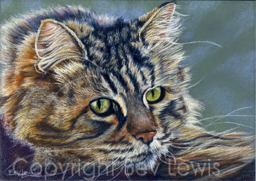 animal artistry by bev lewis cat on ampersand pastelbord