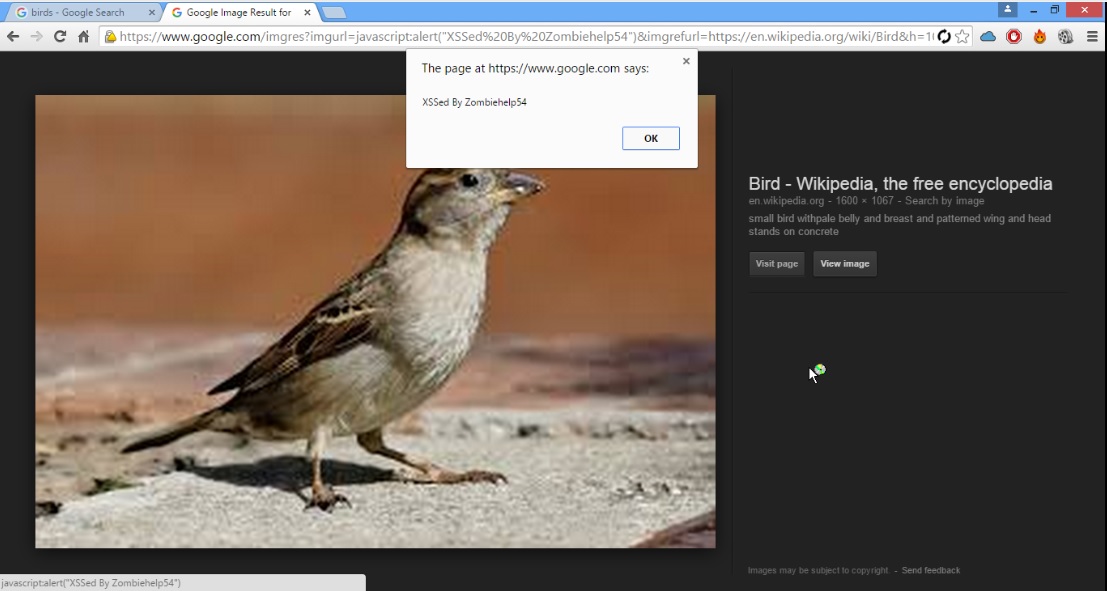 XSS vulnerability in Google image search