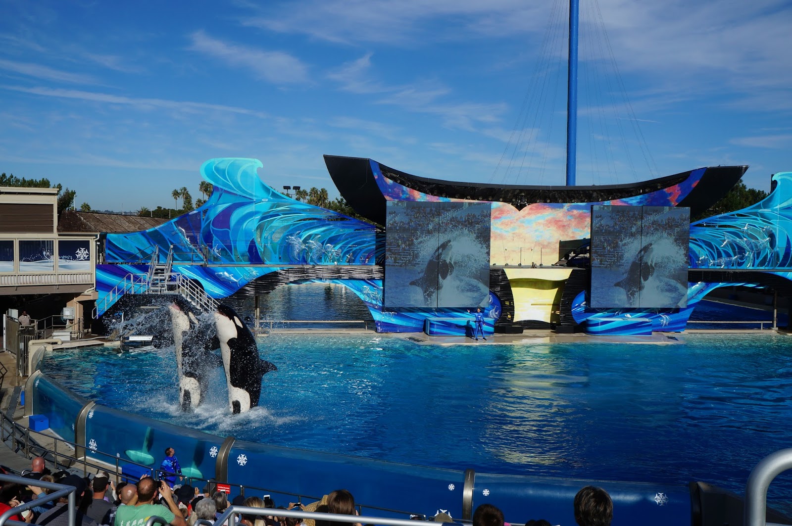 SeaWorld San Diego Guide