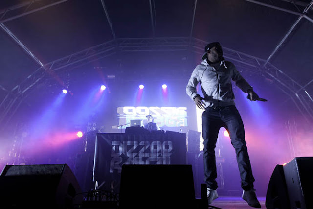 sdf14.jpg