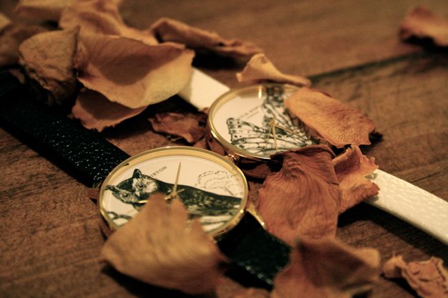 Olivia Burton S Beauties Stories